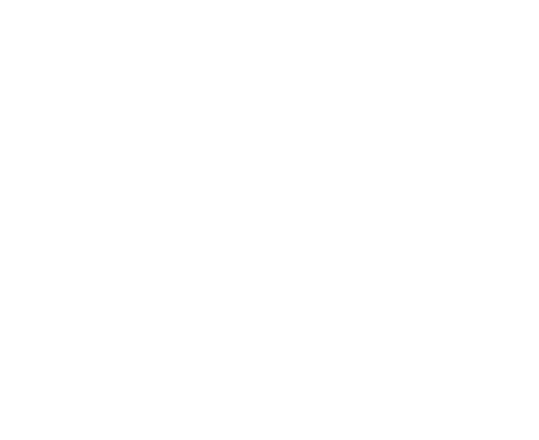 Advanced Professionals