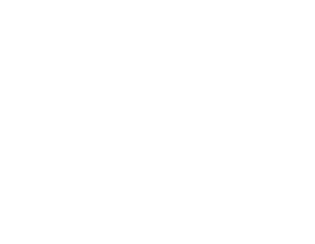 Prince Sattam University