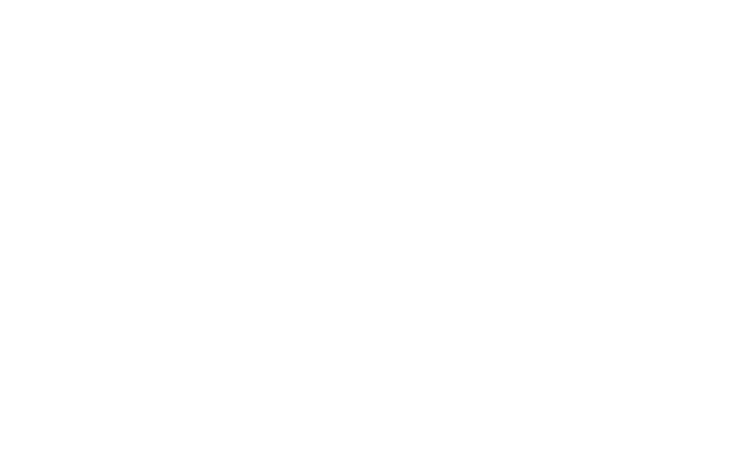 AVAVO