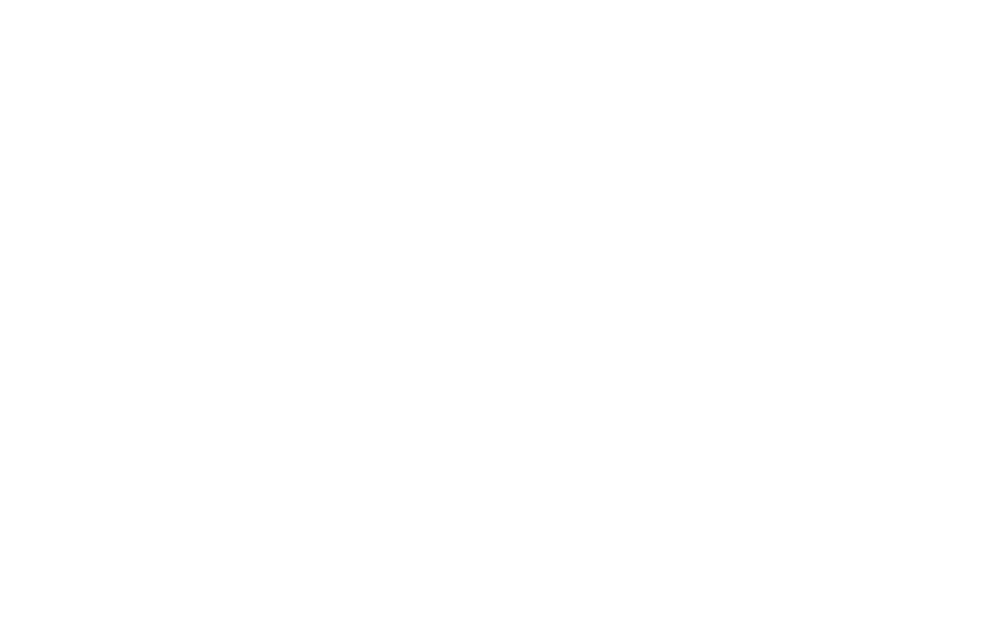 DORMA